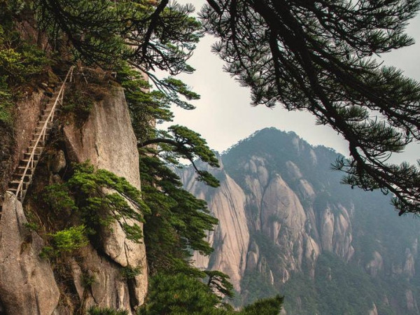 耕保粉体土壤固化剂网性价比就是好